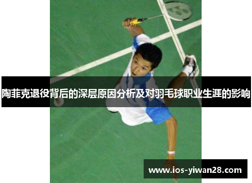 陶菲克退役背后的深层原因分析及对羽毛球职业生涯的影响