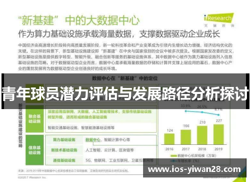 青年球员潜力评估与发展路径分析探讨